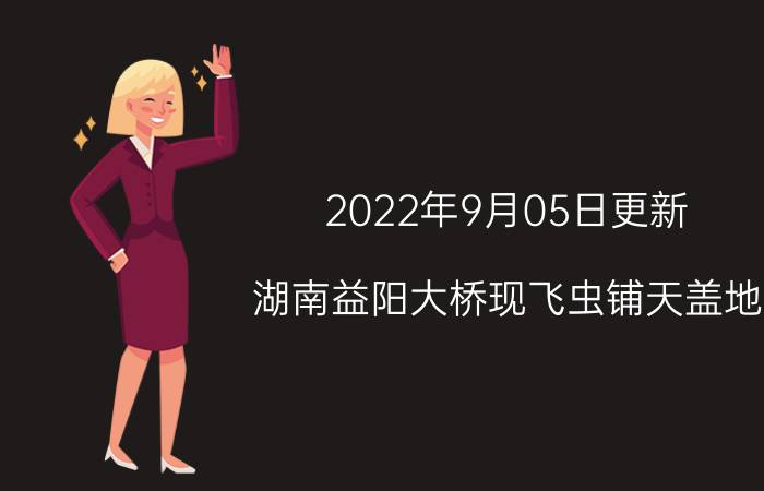 2022年9月05日更新 湖南益阳大桥现飞虫铺天盖地 看了让人头皮发麻具体内容详细介绍